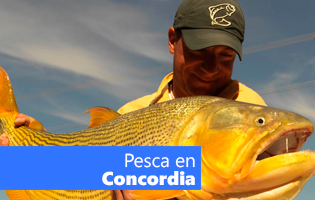 Pesca Concordia