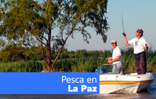 Pesca La Paz
